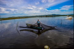 Camarao-Laguna-2