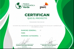 felinos-ranking-geral