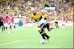 Foto-Celso-da-Luz-8