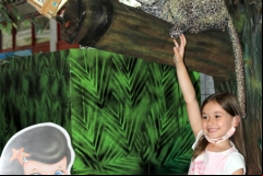 museu-de-zoologia-21