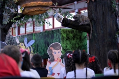 museu-de-zoologia-23