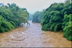 Chuva-em-Nova-Veneza_Lucas-Sabino-1