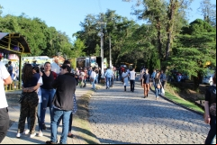 Domingo-148
