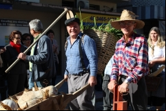 Desfile-2018-2